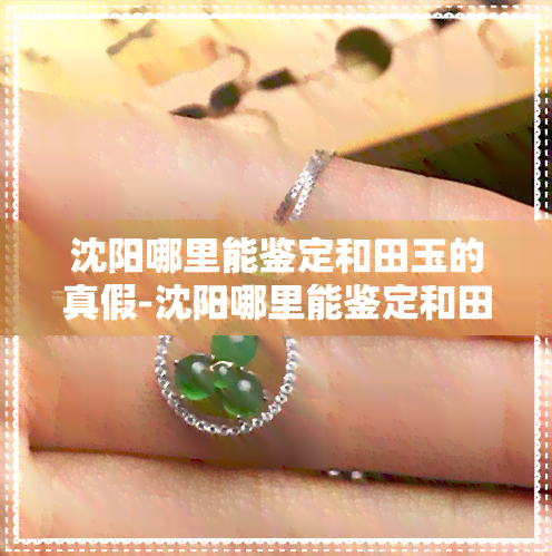 探秘沈阳 寻找和田玉真伪鉴别的文化投资指南